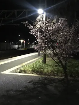 駿河健康ランドに投稿された画像（2022/2/10）