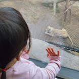 沖縄こどもの国に投稿された画像（2022/2/10）