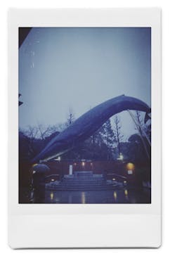 国立科学博物館に投稿された画像（2022/2/10）