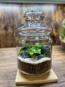 shida design（シダデザイン）に投稿された画像（2022/2/10）