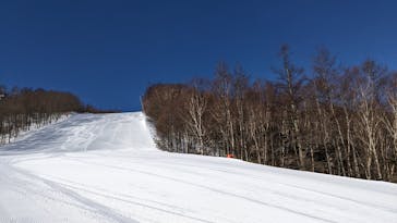 サンメドウズ清里に投稿された画像（2022/2/10）