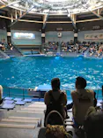 マクセル アクアパーク品川に投稿された画像（2022/2/11）
