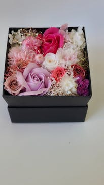 ずこうしつ〜sugamo〜に投稿された画像（2022/2/11）