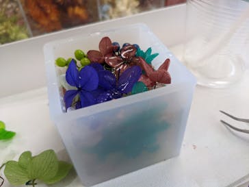 ずこうしつ〜sugamo〜に投稿された画像（2022/2/11）