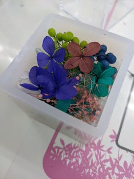 ずこうしつ〜sugamo〜に投稿された画像（2022/2/11）