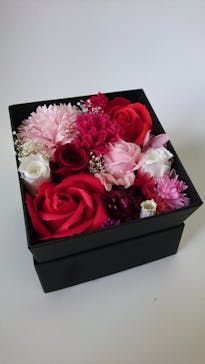 ずこうしつ〜sugamo〜に投稿された画像（2022/2/11）