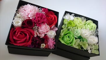 ずこうしつ〜sugamo〜に投稿された画像（2022/2/11）