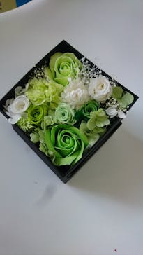 ずこうしつ〜sugamo〜に投稿された画像（2022/2/11）