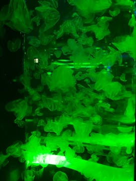 マクセル アクアパーク品川に投稿された画像（2022/2/11）