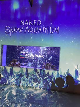 マクセル アクアパーク品川に投稿された画像（2022/2/11）