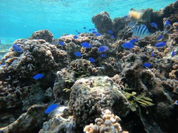 武藤潜水に投稿された画像（2022/2/11）