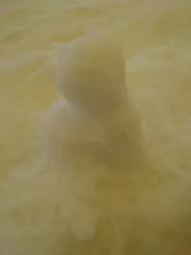 ひらかたパークに投稿された画像（2022/2/11）