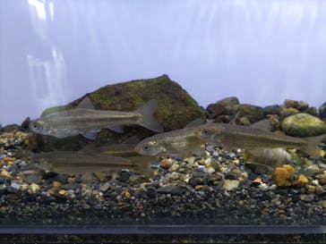 京都水族館に投稿された画像（2022/2/11）