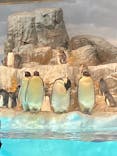 名古屋港水族館に投稿された画像（2022/2/11）