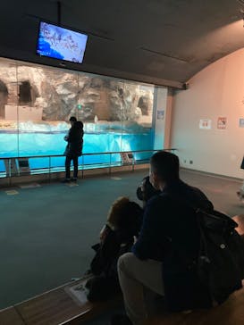 名古屋港水族館に投稿された画像（2022/2/11）
