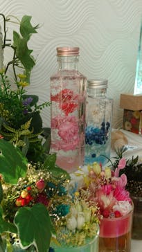 ずこうしつ〜sugamo〜に投稿された画像（2022/2/11）