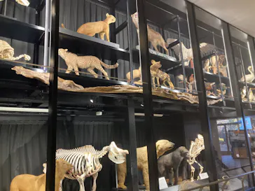 天王寺動物園に投稿された画像（2022/2/11）