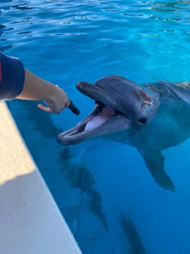 南知多ビーチランド＆南知多おもちゃ王国に投稿された画像（2022/2/11）