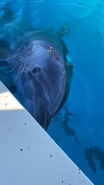 南知多ビーチランド＆南知多おもちゃ王国に投稿された画像（2022/2/11）