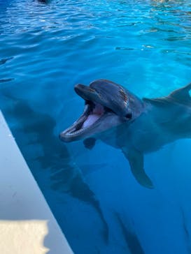 南知多ビーチランド＆南知多おもちゃ王国に投稿された画像（2022/2/11）