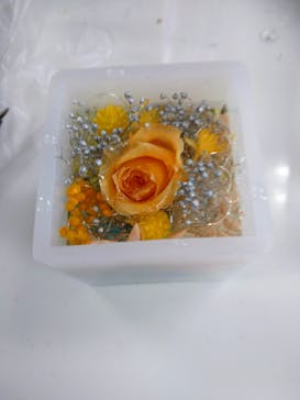 ずこうしつ〜sugamo〜に投稿された画像（2022/2/11）