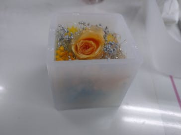 ずこうしつ〜sugamo〜に投稿された画像（2022/2/11）