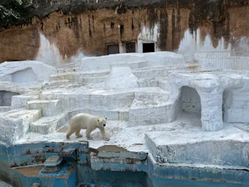 天王寺動物園に投稿された画像（2022/2/11）