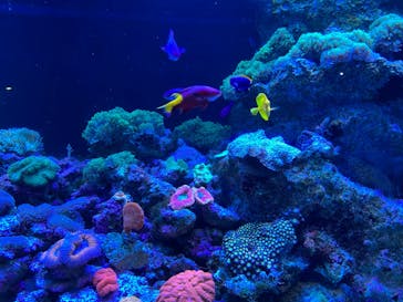 マクセル アクアパーク品川に投稿された画像（2022/2/11）