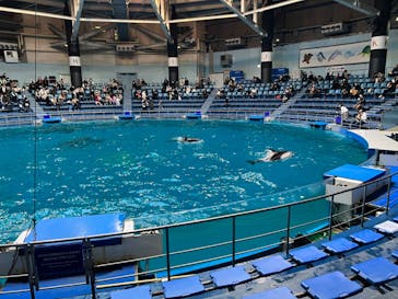 マクセル アクアパーク品川に投稿された画像（2022/2/11）