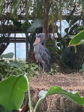 神戸どうぶつ王国に投稿された画像（2022/2/11）