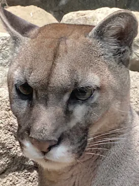 神戸どうぶつ王国に投稿された画像（2022/2/11）