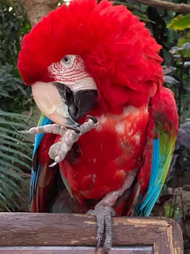 神戸どうぶつ王国に投稿された画像（2022/2/11）