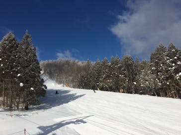 スプリングバレー仙台泉スキー場に投稿された画像（2022/2/11）