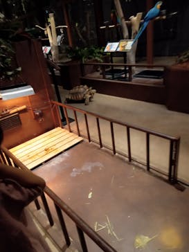 Moff animal world MARK IS みなとみらい店に投稿された画像（2022/2/11）