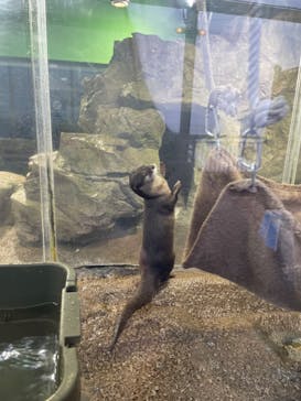 新江ノ島水族館に投稿された画像（2022/2/11）