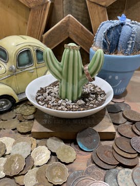 SWING BY（スウィング バイ）に投稿された画像（2022/2/11）