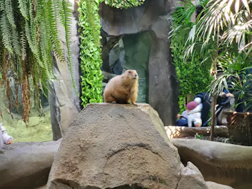 神戸どうぶつ王国に投稿された画像（2022/2/11）