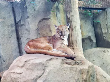 神戸どうぶつ王国に投稿された画像（2022/2/11）