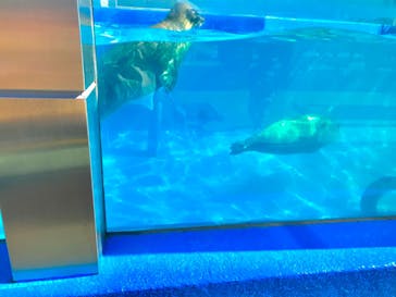 南知多ビーチランド＆南知多おもちゃ王国に投稿された画像（2022/2/11）