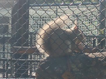 沖縄こどもの国に投稿された画像（2022/2/11）