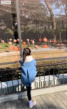 天王寺動物園に投稿された画像（2022/2/11）