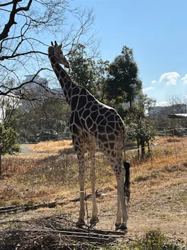 天王寺動物園に投稿された画像（2022/2/11）