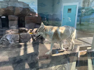 天王寺動物園に投稿された画像（2022/2/11）