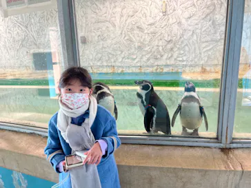 天王寺動物園に投稿された画像（2022/2/11）