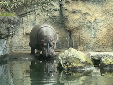 天王寺動物園に投稿された画像（2022/2/11）