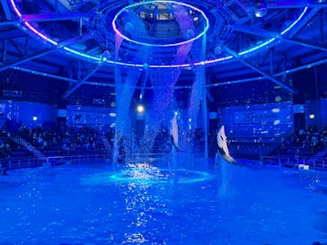 マクセル アクアパーク品川に投稿された画像（2022/2/11）