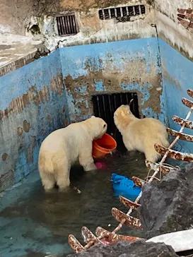 天王寺動物園に投稿された画像（2022/2/11）