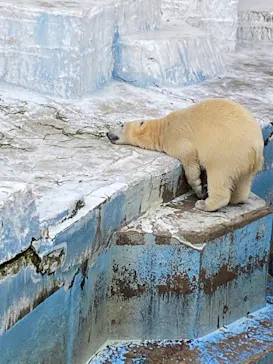 天王寺動物園に投稿された画像（2022/2/11）