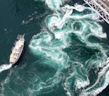 徳島県立 渦の道に投稿された画像（2022/2/11）