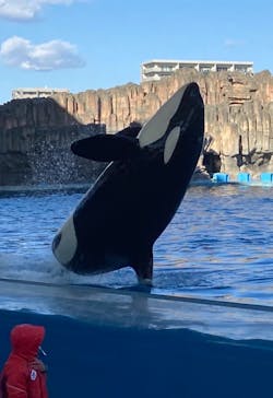 名古屋港水族館に投稿された画像（2022/2/11）